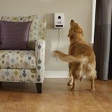 Best 4 Wall-Mount Dog Feeders & Dispensers In 2022 Reviews