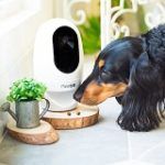 Best 5 Dog Cameras & Treat Dispensers To Get In 2020 Reviews
