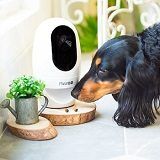 Best 5 Dog Cameras & Treat Dispensers To Get In 2022 Reviews