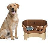 Best 5 Dog Feeding Stations On The Market In 2022 Reviews