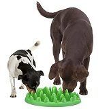 Best 5 Interactive Dog Feeders & Bowls To Buy In 2022 Reviews