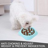 Best 5 Puppy Slow Feeders To Choose From In 2022 Reviews