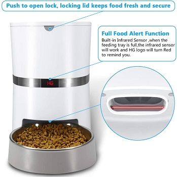 HoneyGuaridan A36 Automatic Food Dispenser review