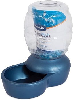 Petmate Replendish Feeder with Microban review