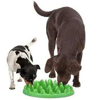 interactive-dog-feeder-bowl