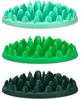 northmate green slow dog feeder review