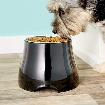 best portable elevated dog feeder