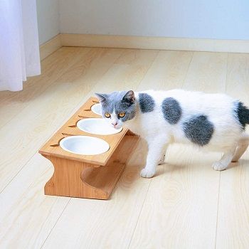 3-bowl-cat-feeder