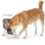 Best 10 Automatic Dog Feeders & Bowls In 2020 Reviews + Guide