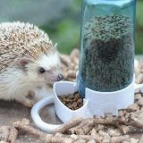 Best 10 Automatic Pet Feeders On The Market In 2022 Reviews