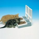 Best 5 Automatic Feeders For Multiple Cats In 2020 Reviews