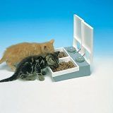 Best 5 Automatic Feeders For Multiple Cats In 2022 Reviews