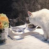 Best 5 Elevated Cat Feeders, Dishes & Bowls In 2022 Reviews
