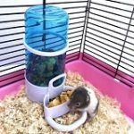 Best 5 Hamster Feeder & Waterer You Can Choose In 2020 Reviews