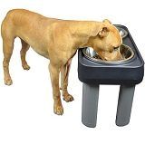Best 5 Large Dog Feeders & Dispensers To Buy In 2022 Reviews