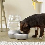 Best 5 Pet Bowls, Feeders & Waterers For Sale In 2022 Reviews