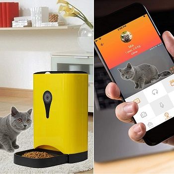 Best Smart Cat Camera Feeder