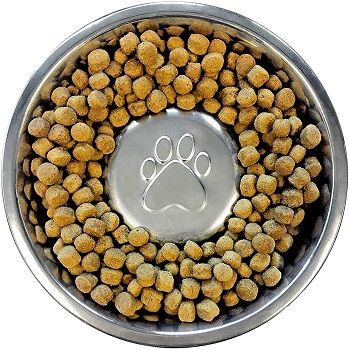 Neater Pet Brands Slow Feed Bowl Stainless Steel review