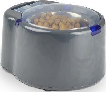 Our Pets Smart Link Selective Feeder Automatic Pet Bowl review