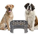 Top 5 Slow Dog Feeders & Bowls On The Market In 2022 Reviews