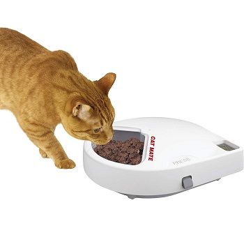 Best 5 Automatic Cat Feeders For Wet Foods In 2022 Reviews