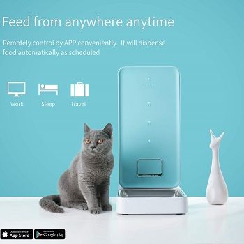 automatic-cat-feeder