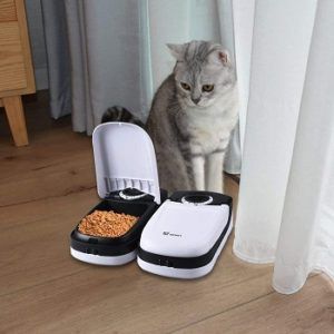 interactive cat feeder wet food
