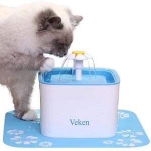 automatic water dispenser for cats