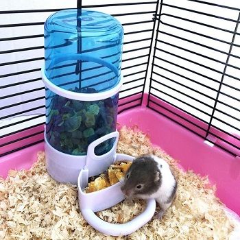 hamster-feeder