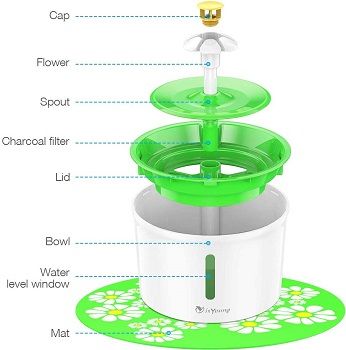 isyoung cat fountain review