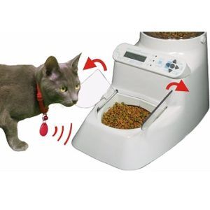 cheapest microchip cat feeder