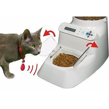 microchip cat feeder uk