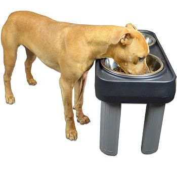 large-dog-feeder-dispenser